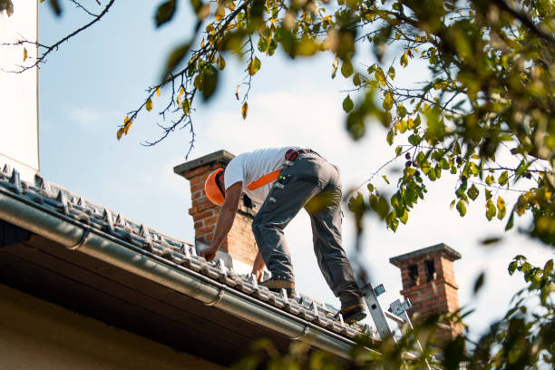 Best Metal Roofing Contractor  in Malvern, OH