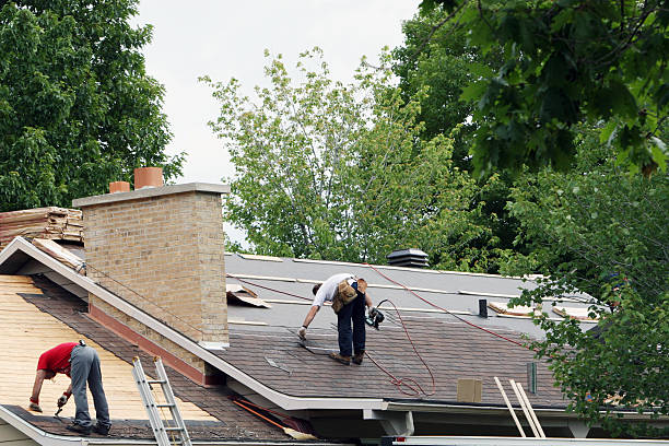 Best Roof Gutter Cleaning  in Malvern, OH